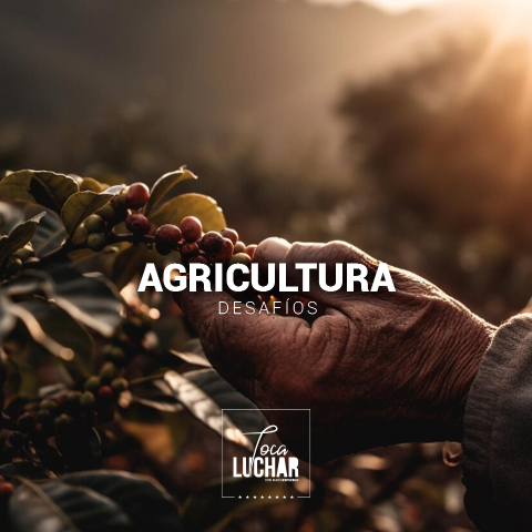 Agricultura